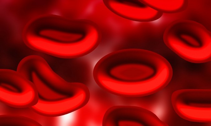 krev_test_krvinky