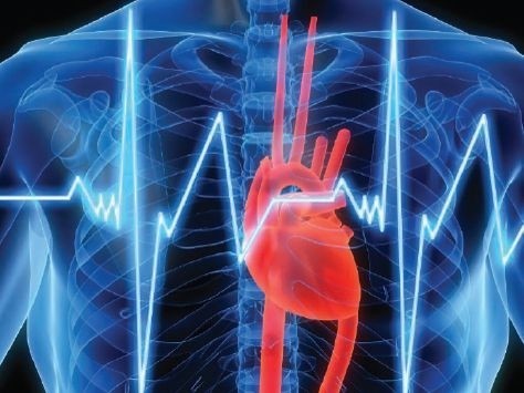 Srdce,srdeční,EKG