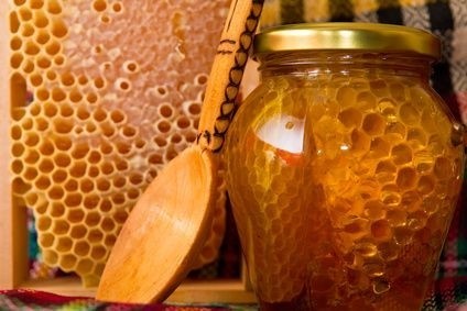 propolis, med, včelí plásty