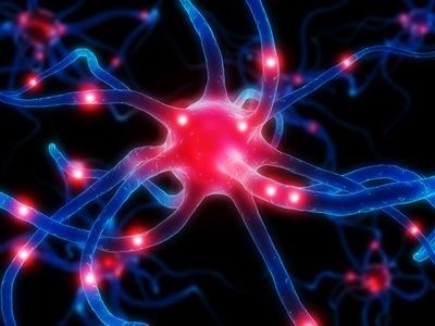 neurony_mozek