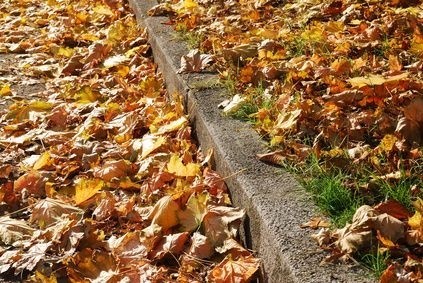 Listí na chodníku