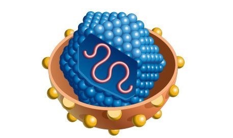 Virus C