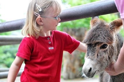 Holčička v ZOO