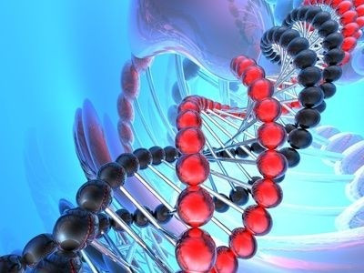 DNA,gen,dědičnost