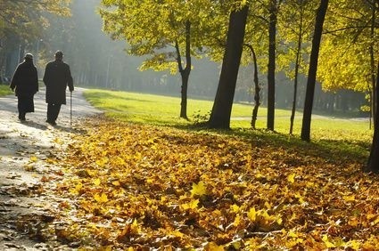 podzimní procházka