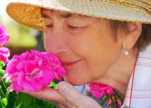 Žena,senior,důchodce,stáří,květina - z HPV