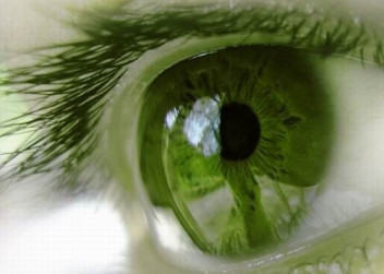 zelené oko