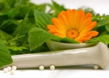 Homeopatie,měsíček,alternativní medicína